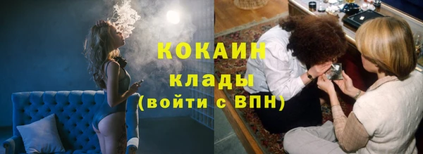 гашик Горняк