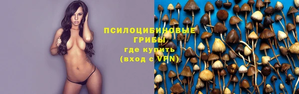 дживик Горнозаводск