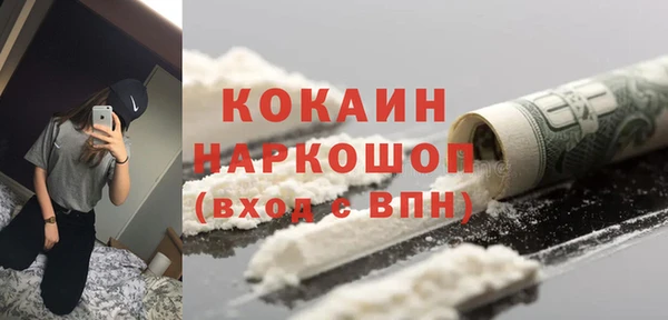 гашик Горняк