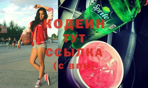 гашик Горняк