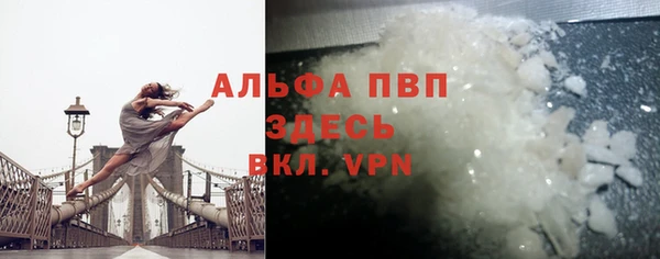 гашик Горняк