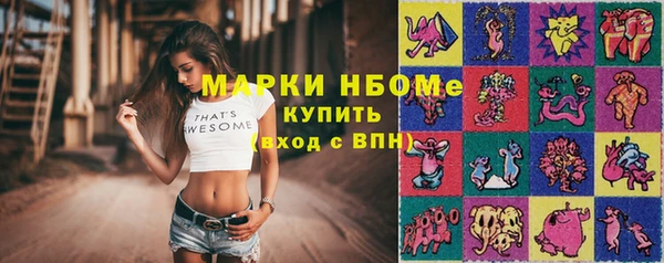 гашик Горняк