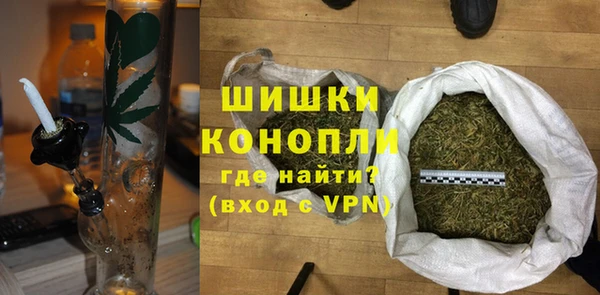 гашик Горняк