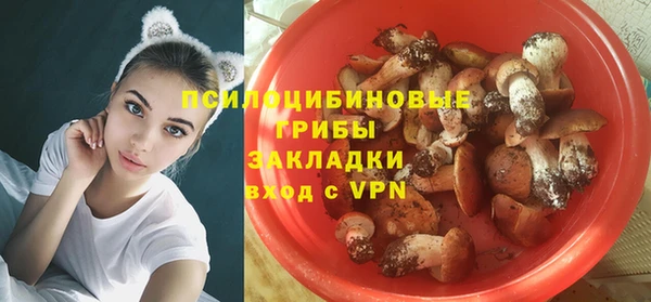 дживик Горнозаводск